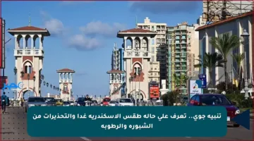 تنبيه جوي.. تعرف على حالة طقس الإسكندرية غدا والتحذيرات من الشبورة والرطوبة